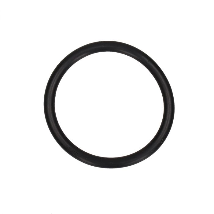 O ring diameter = 30.8mm SYM origineel 91302-M9Q-000