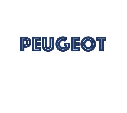PEUGEOT GEBRUIKT