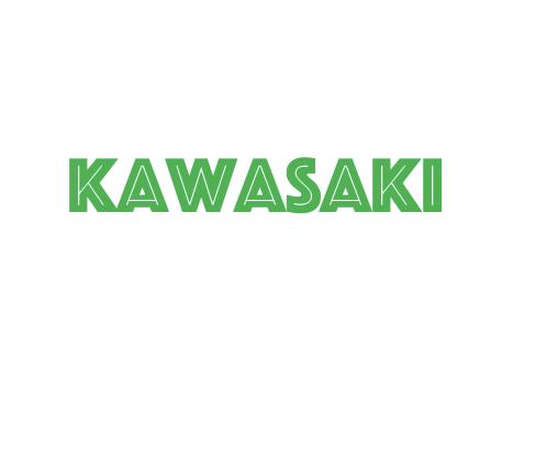KAWASAKI GEBRUIKT