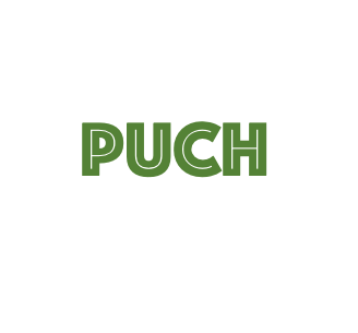 PUCH GEBRUIKT