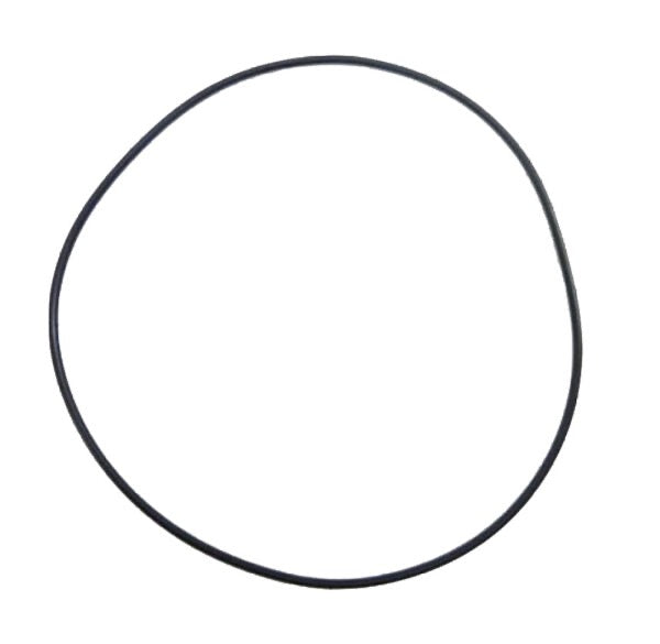 O-RING WATERMANTEL QUARTZ/PUCH NRG/NTT 98,05 x 1,78 PIAGGIO 16344