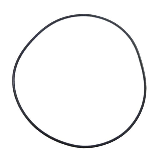 O-RING WATERMANTEL QUARTZ/PUCH NRG/NTT 98,05 x 1,78 PIAGGIO 16344