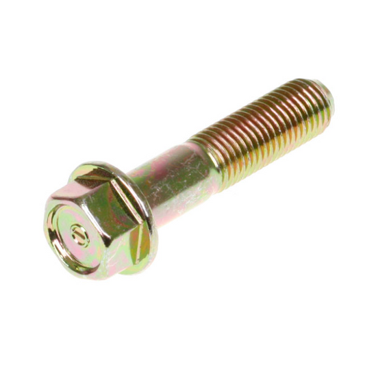 Standaardbout SYM Mio M10X45 (Rechts) 95801-10045-08