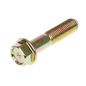Standaardbout SYM Mio M10X45 (Rechts) 95801-10045-08