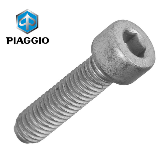Bouten inbus remklauw origineel Piaggio/Vespa M8X25 597150